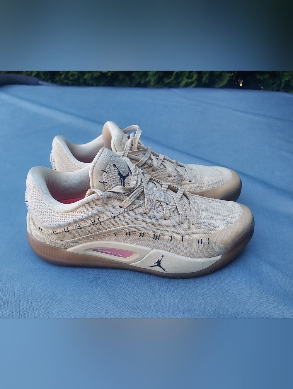 Jordan Men's Zion 4 Basketball Low-Top Tan